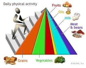 PC food pyramid